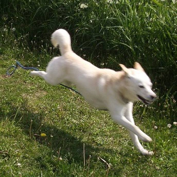 088d4f7a c377 40c3 8d18 d8294565d6d2