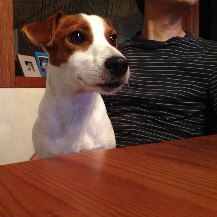 088e4040 4a49 44d5 b945 e7b7da64f6fd