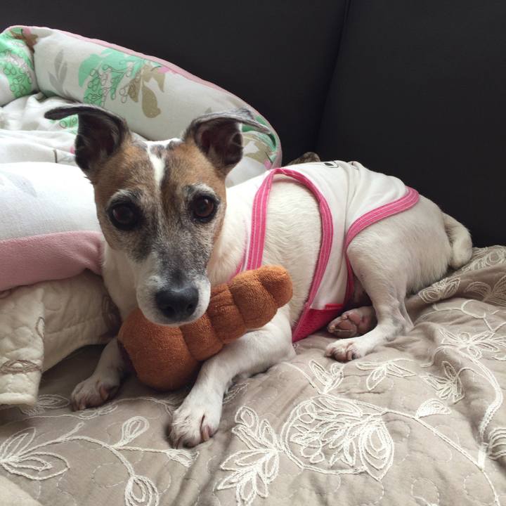 088e6886 8791 4916 a201 9e0d089d55b6