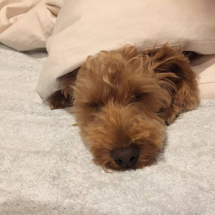 088f2f92 5674 4b79 b0d7 ce3a92cb7621