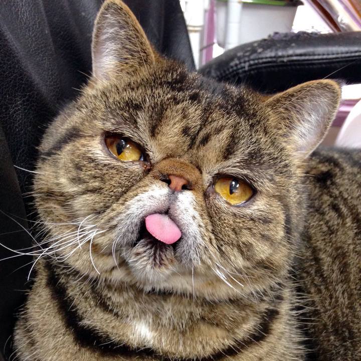 0890f61f 9600 4c33 a9fb d37971a42ae0