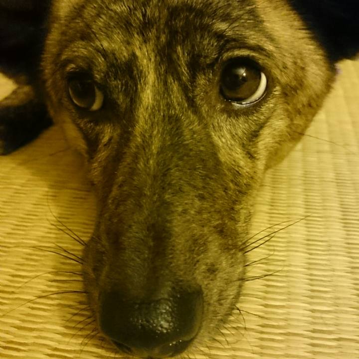 0892bbbd 8e6b 43df 90bb 8032548abe23