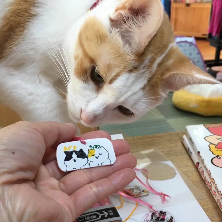 08943d9e efee 4e83 be83 f13321f17d02