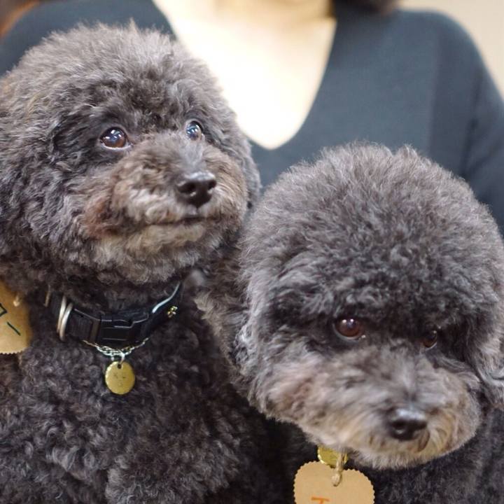 08944d98 2a77 4be0 8f92 62b467549fa0