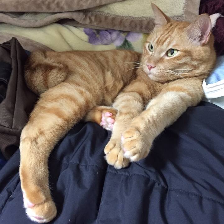 0894f8af 1aef 4066 9880 91dd6a90c7bc