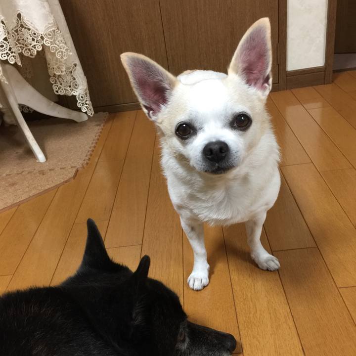 08953b28 7ac7 4877 99fe cefe6222f7be