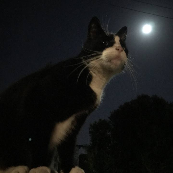 0895857e 6f2b 4688 916a fc22da0d1ecc