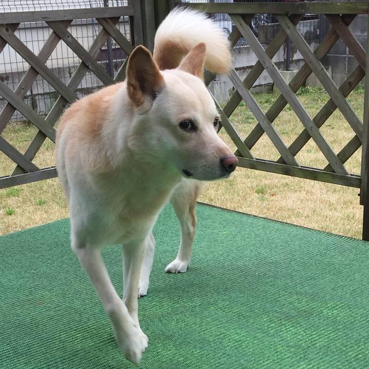 0895914e 9019 422c a25e 0d8558a6c71f