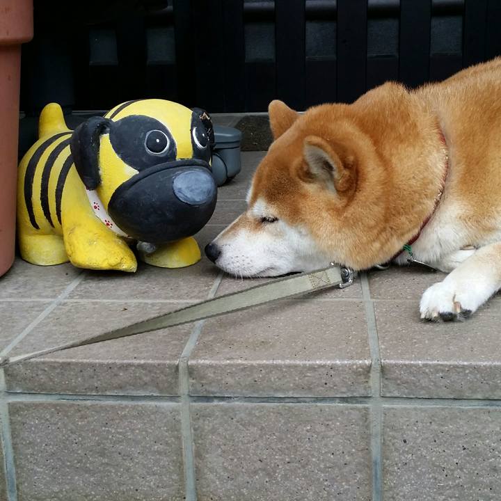 0895b8af 4f69 4505 8e5f 851f8aa8f4e0