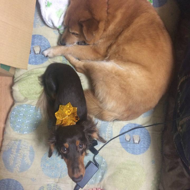 0895ca4c 64e8 4554 b29e 50abc0cf5633