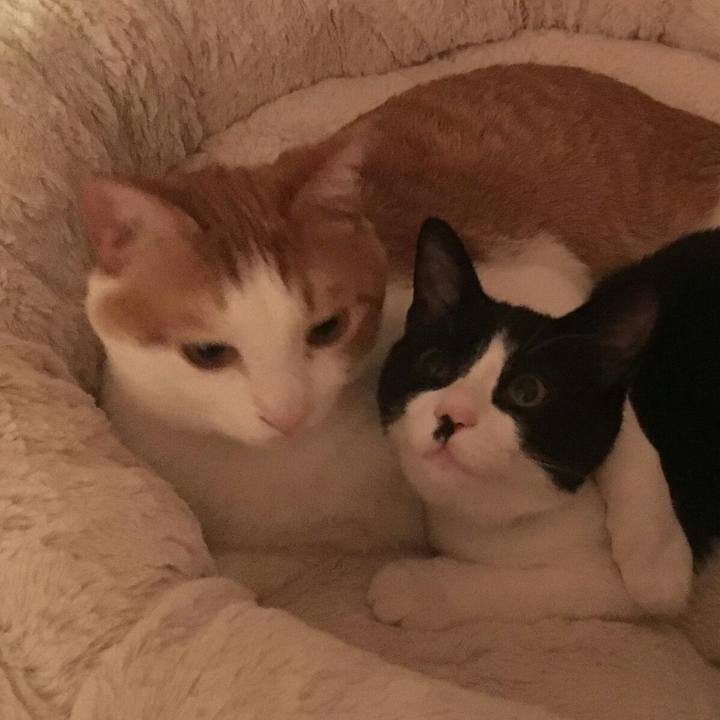 0895d53e f52f 42c0 a206 f2083687f643