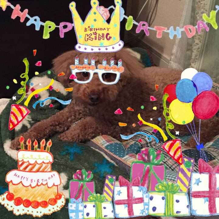 0895fc82 ee19 4338 a0b9 2043c43f2a4f