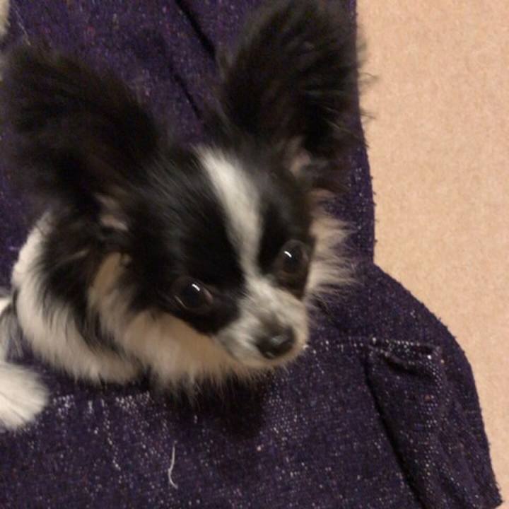 0896158b 1f54 4d79 a234 261a06f4fd03