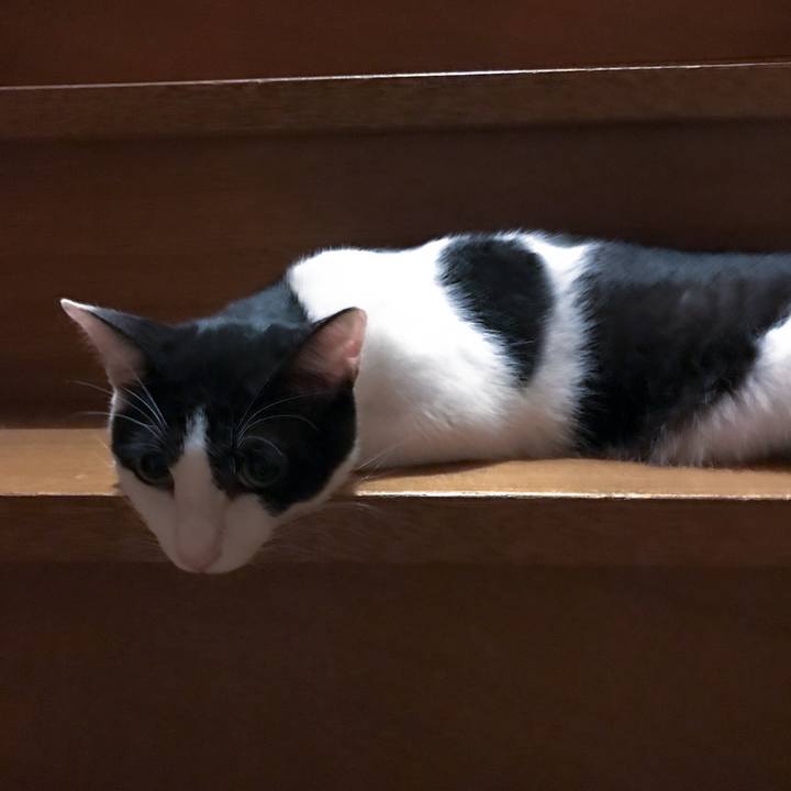 08962727 88dc 42b7 bbbe 5ba464e1e9e7