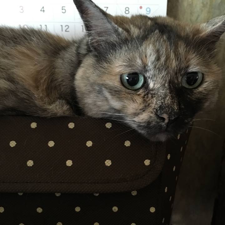 089649c5 8da1 4315 b5dc ff3d6fd82313