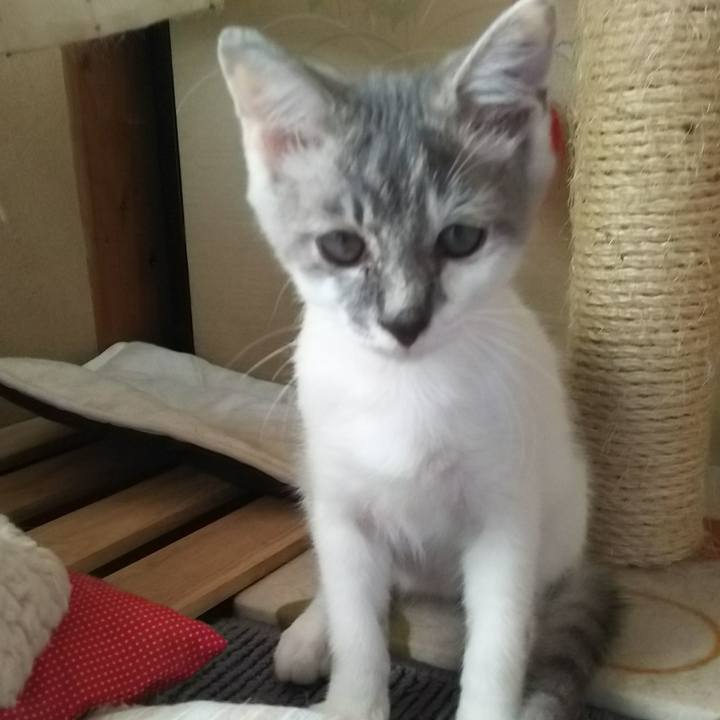 089652b4 d07a 4d99 aea7 1b60638000ec