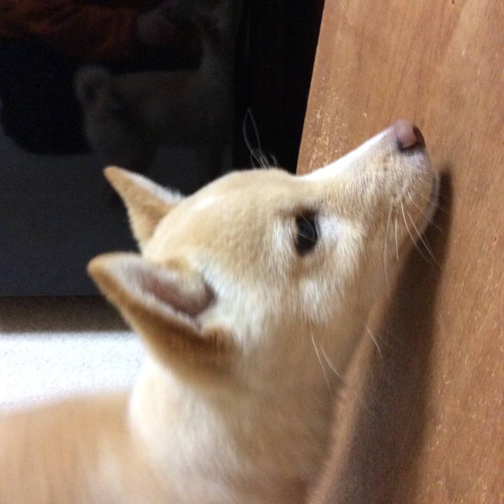 0896617d 021f 4de2 8da0 0a77f5c516db