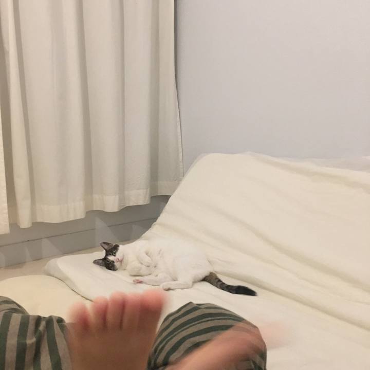 0897633c 41e0 475a b2de 2b1c4051b418