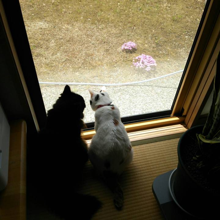 0897680c 481f 408c a3b6 07ddfbb6d5c4