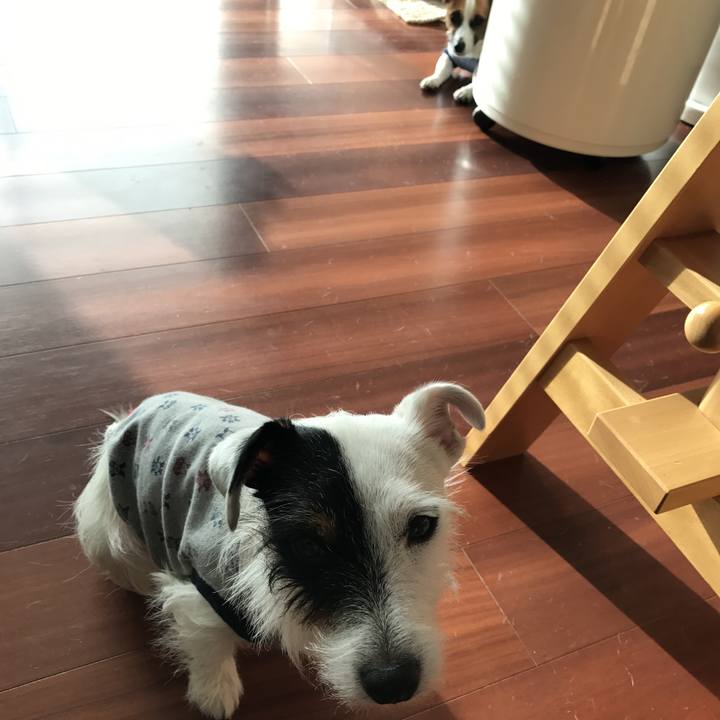 08979ee5 5f53 40e7 b505 e2a45ef71f3e