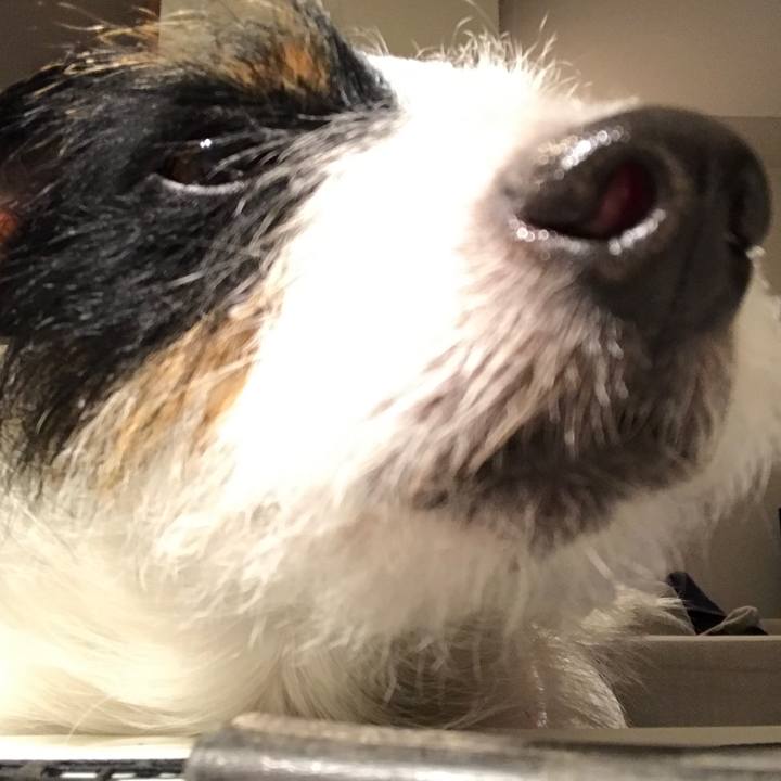 08989afa fc13 4bdd 9b6a 3b5e9ff8b4c4