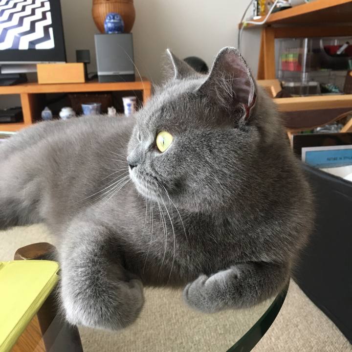 08996ca8 66a6 40ee 84a7 95d2506fb2e2