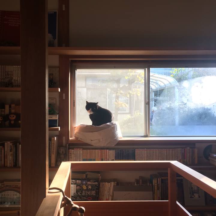 089974f6 88de 4f2a afb6 798a5f02524b