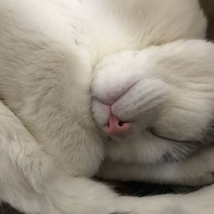 089a25b7 b39e 4eda b004 62353b463fdd