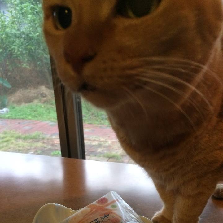 089a6966 ed19 41c9 84a2 e032b6bc549f