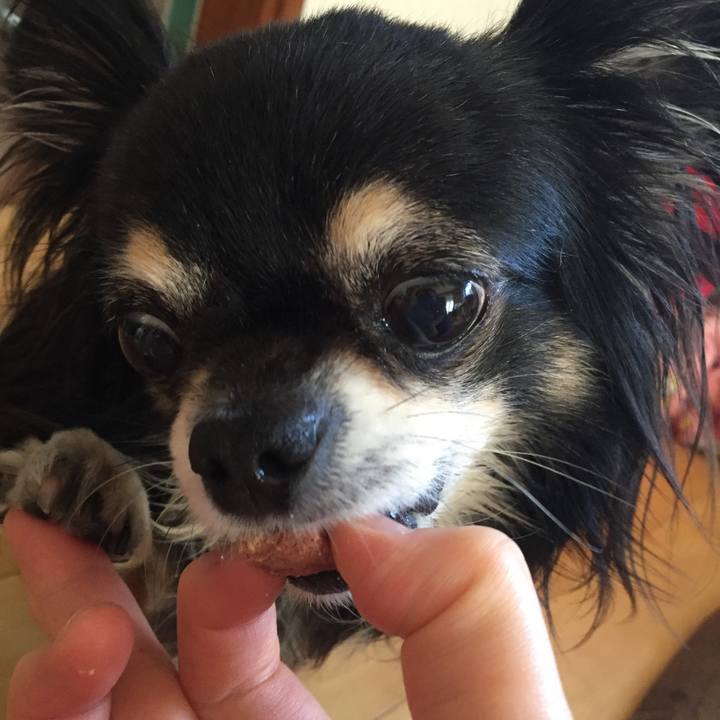 089b0060 50cb 4277 a037 816d8a585a2b