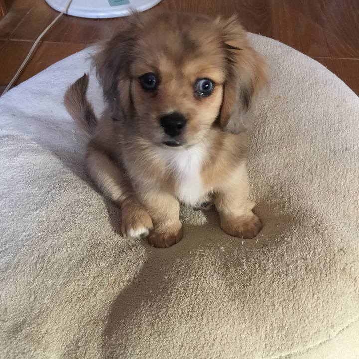 089b1733 ace4 4790 b3e2 0c07784b877c