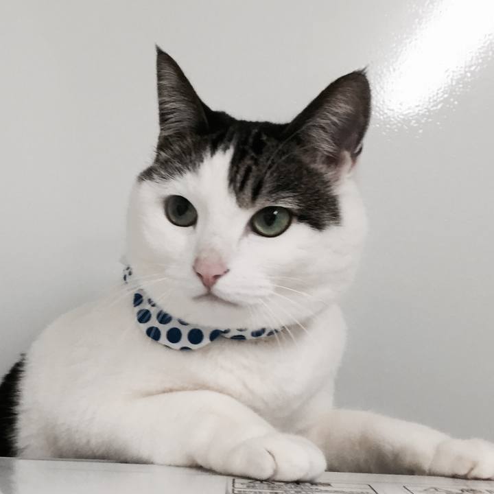 089b3fdd c3b6 4961 ae16 d4c02107f4f9