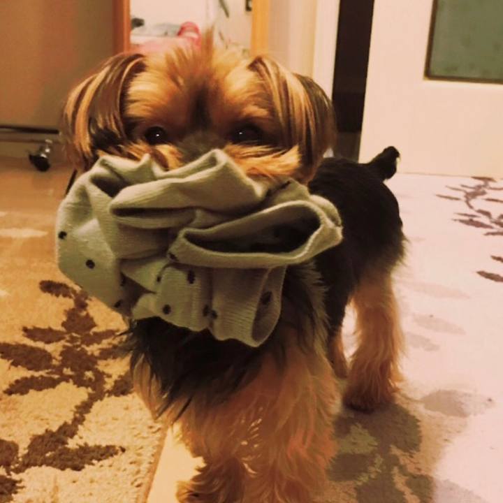 089b40cd adfa 4497 b89f 69dc3c797b68