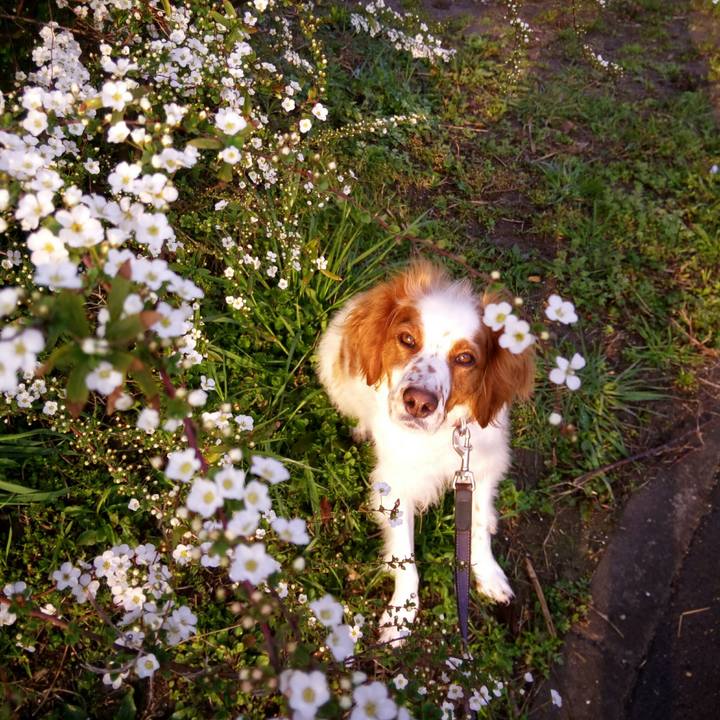 089b8c53 0d74 44bc 98f7 3318cc90a5a1