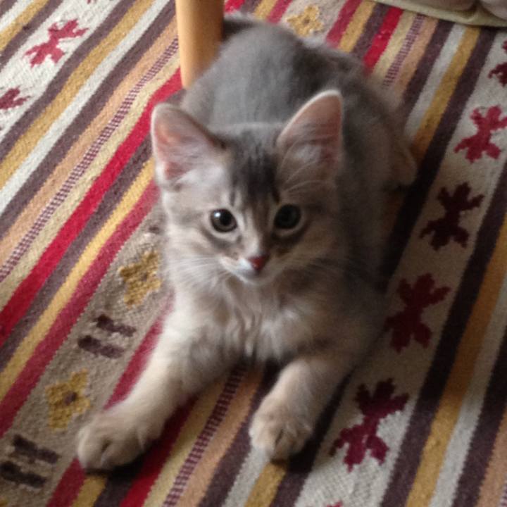 089ba75e ee3b 4555 b9ed c970b306bc13