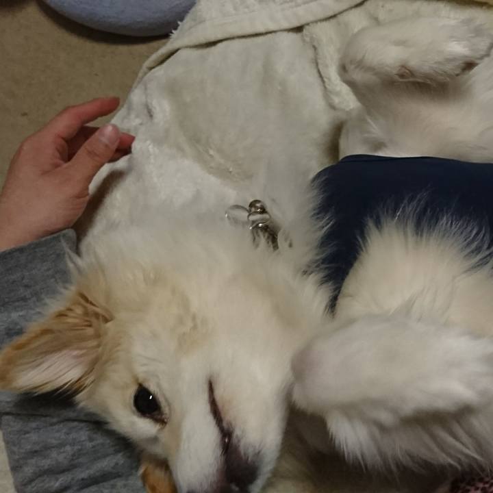 089bb110 b231 4301 ba54 9083e5941980