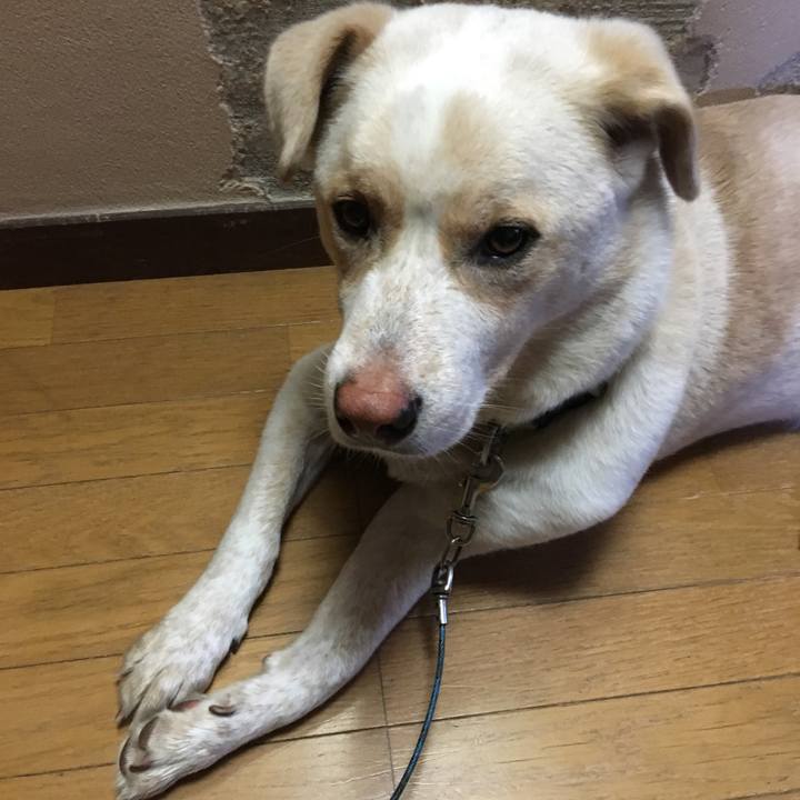 089bcc7b d7cf 4e2c 9dd4 b694a5d88e0b