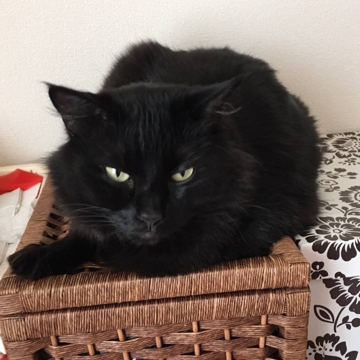 089bf522 2a23 454f 8564 5d90ecee0ea3