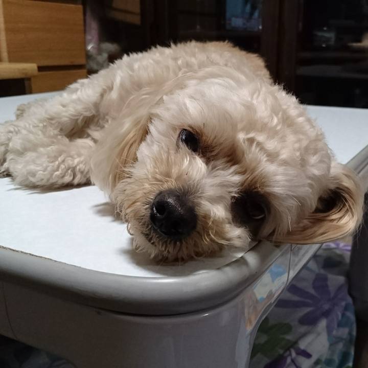 089c1311 9f01 4948 b172 2a976cb1daf0