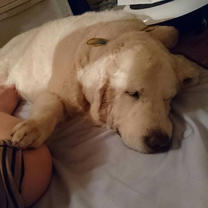 089c53b1 3a9f 445f 9741 1f749f5689ae