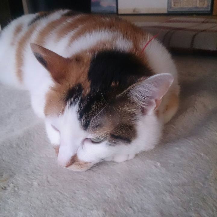 089cdf26 4138 43dd a3de f766e5224c22