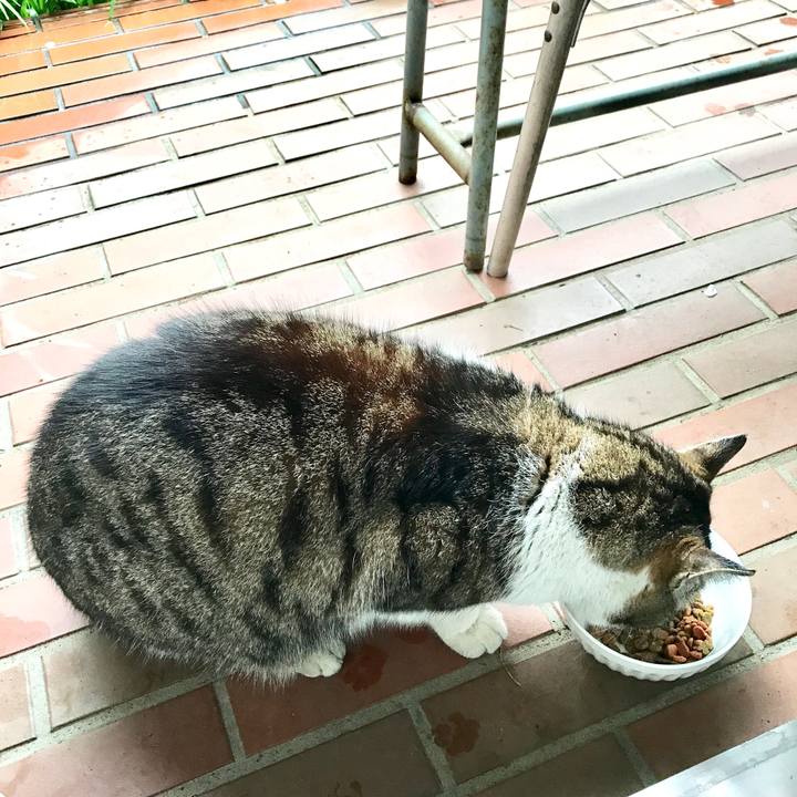 089dcc35 c972 43a5 9b63 1cce645b8eb3