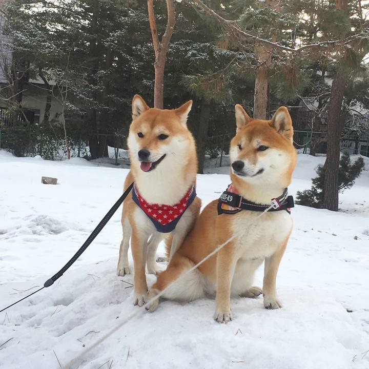 089e2d93 69a5 4ea7 903a d83465fa7a17