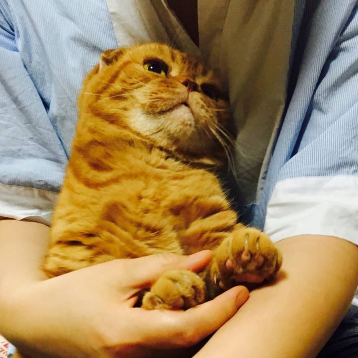 089eb75e 9423 44c7 b94d a89a76fa49c2