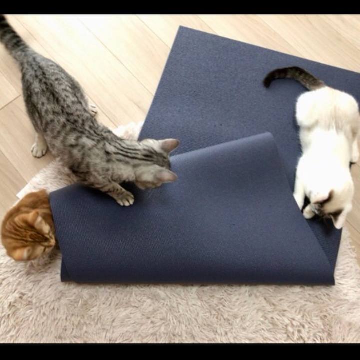 089f00ef cfe6 42ae b48b c238916247c2