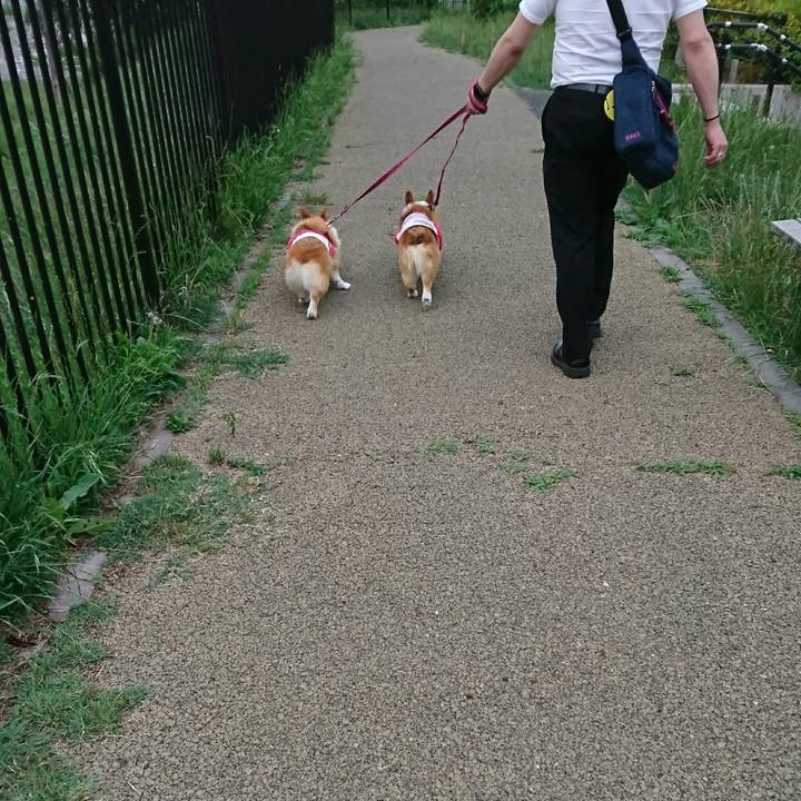 089f5fea b6a8 4089 a02e 48f1d497f642