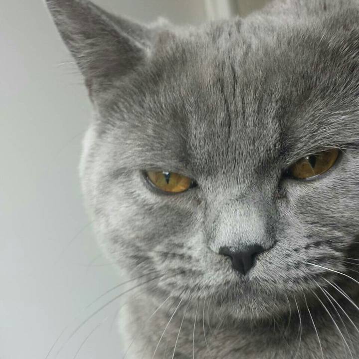 089f9477 df59 49f7 896b 1977f30cc68b