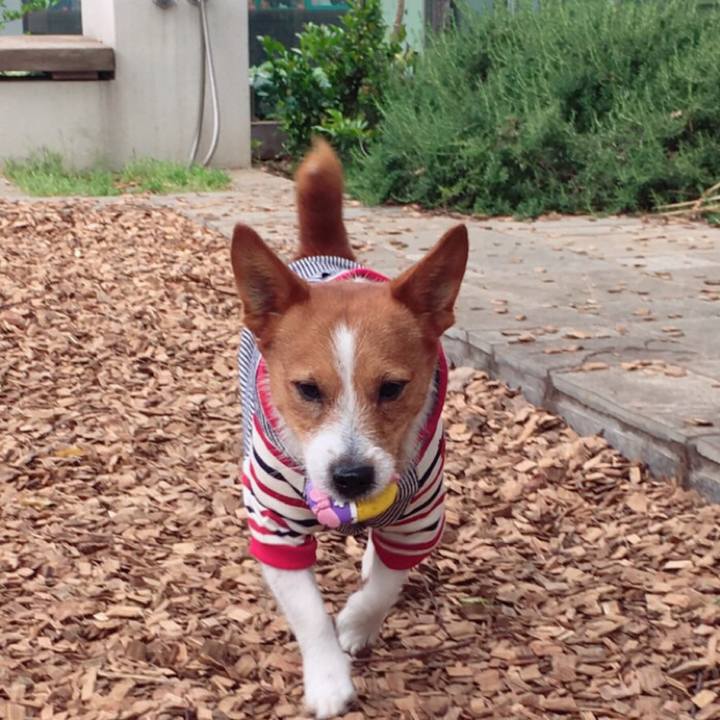 089f9867 4469 4687 9000 030ff1b74a70