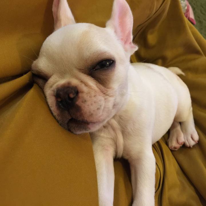 089fb849 794c 44c1 9a91 ce71c51884e4