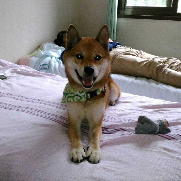 089fd1a2 d3f6 4ff9 899b dc9b8bca2947